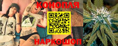 крисы Малоярославец