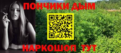 крисы Малоярославец