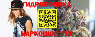 крисы Малоярославец