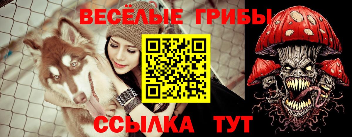 Ялуторовск  Метадон  КОКАИН  Вход с VPN  Гашиш  Меф МЯУ МЯУ кристаллы 