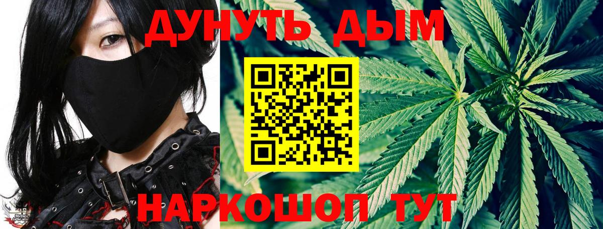 Каннабис Bruce Banner  Шишки марихуана планчик  Ялуторовск  Вход с VPN  Бошки Шишки White Widow 